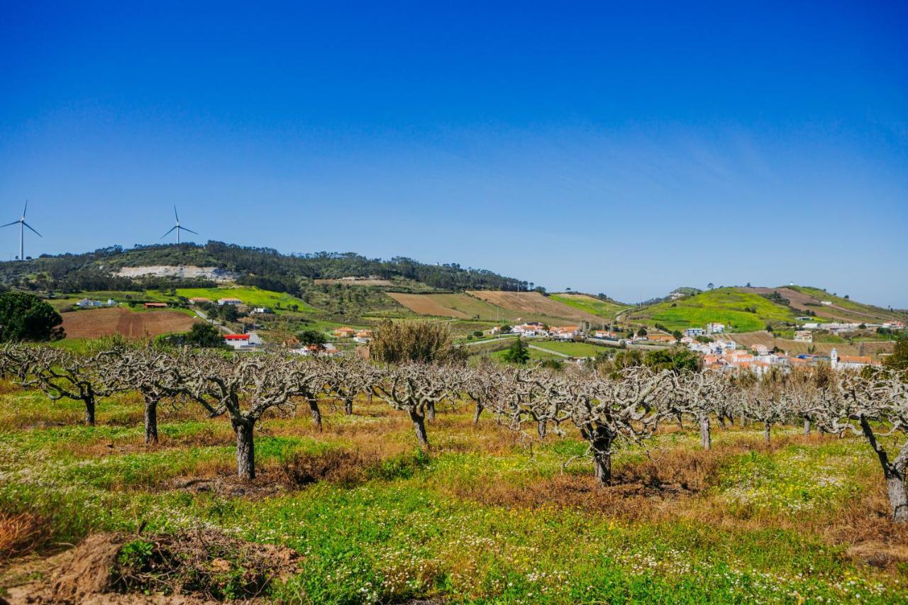 Traditional Portuguese Village House - Casa Martins No 52 Freiria Dış mekan fotoğraf