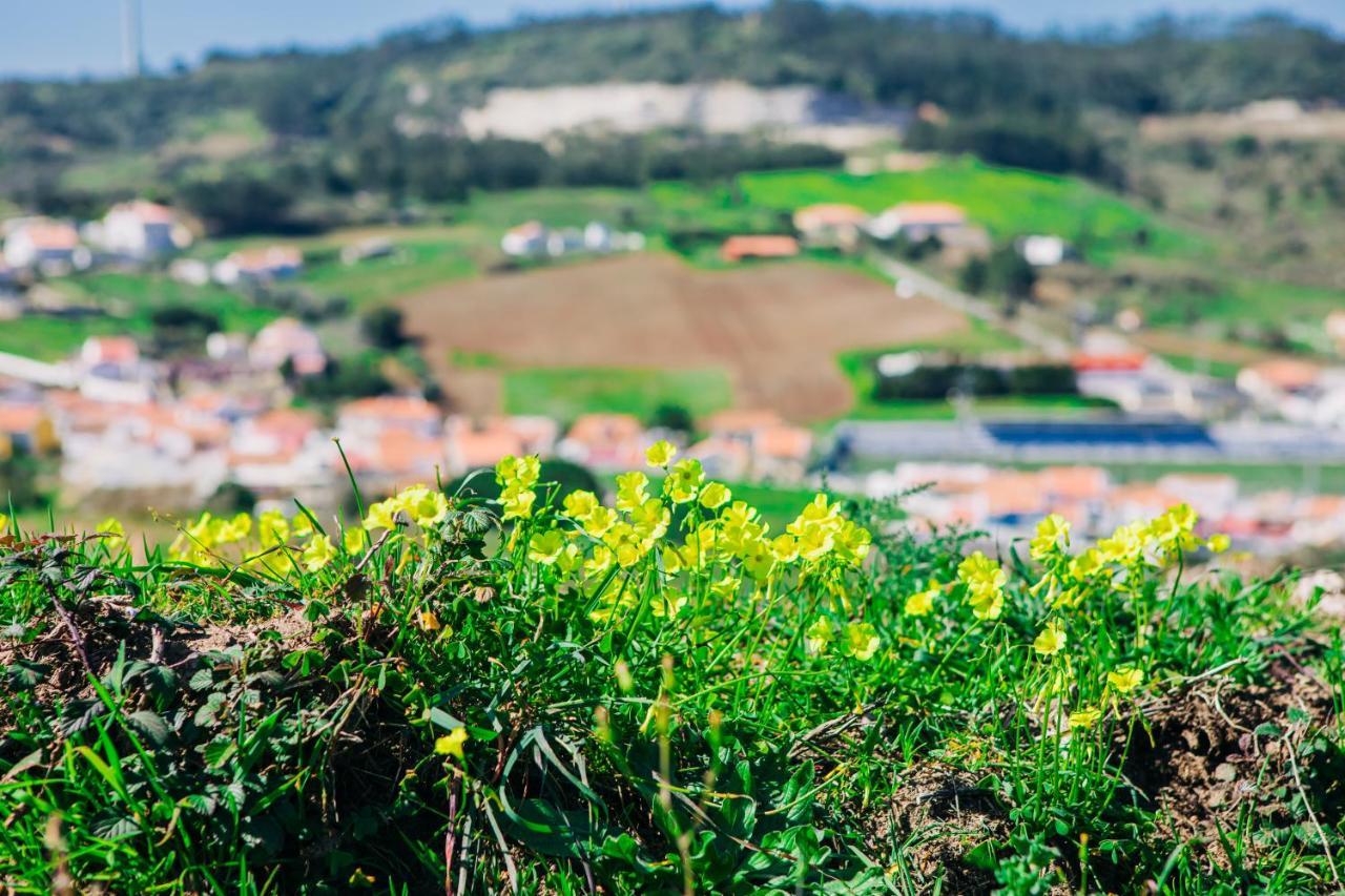 Traditional Portuguese Village House - Casa Martins No 52 Freiria Dış mekan fotoğraf