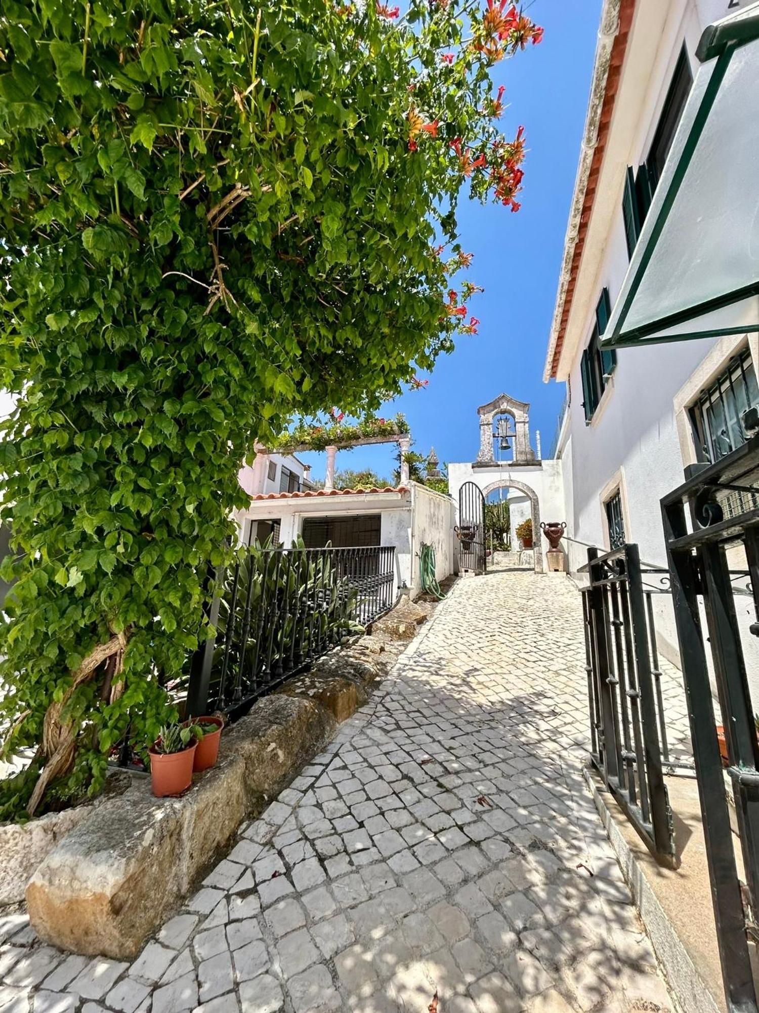 Traditional Portuguese Village House - Casa Martins No 52 Freiria Dış mekan fotoğraf